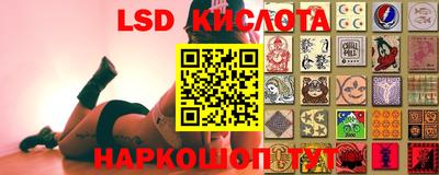 мдпв Гусев