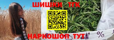 мдпв Гусев