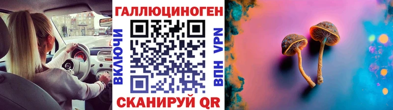 закладка  Георгиевск  Псилоцибиновые грибы мухоморы 