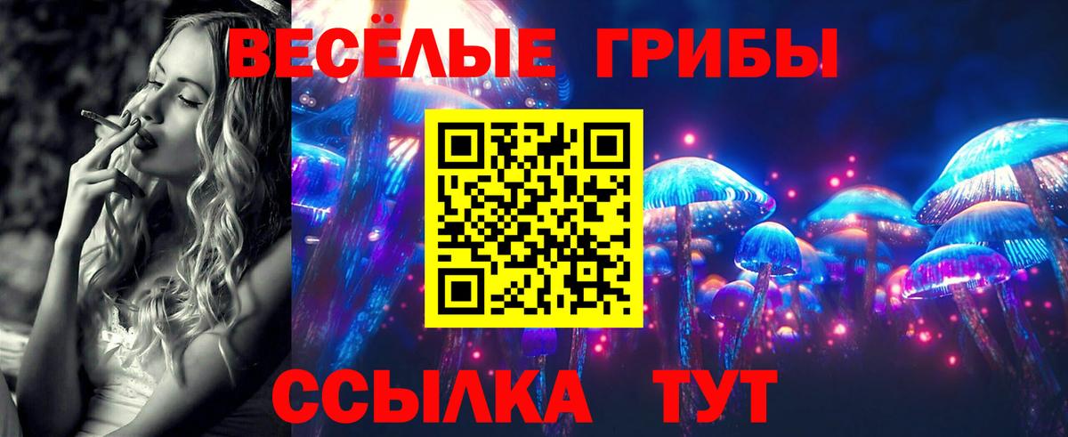 Псилоцибиновые грибы Psilocybe Георгиевск